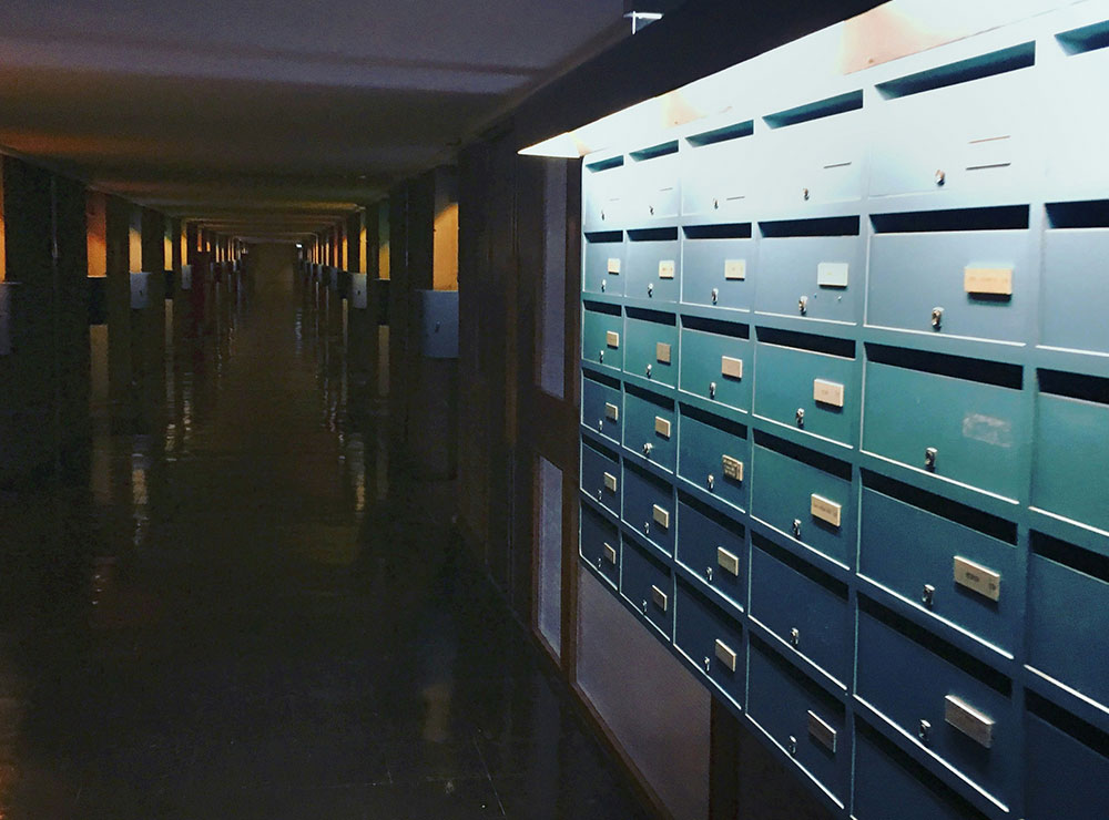 Release the Epstein Files